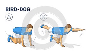 Man doing bird dog exercise to train his core guidance. Male workout position for abs illustration.