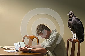 Man doing budget with a hungry vulture behind him