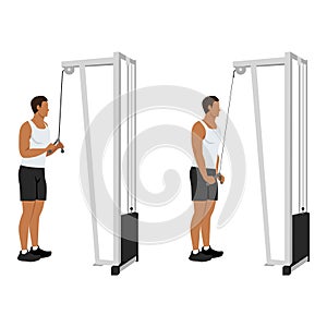Man doing cable tricep pull down exercise. Flat vector
