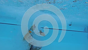 Man doing a cannonball into swimming pool and diving out, view from underwater