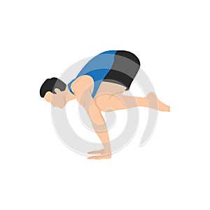 Man doing Crow pose bakasana exercise. Flat vector illustration