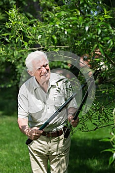 Man doing garden work