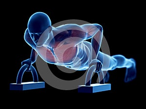 A man doing pushups