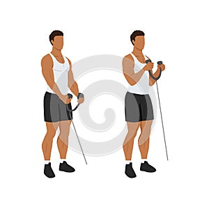 Man doing Rope bicep hammer curl. Flat vector