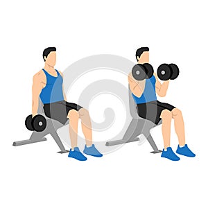 Man doing seated dumbbell bicep curls exercise. Flat vector illustration