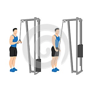 Man doing Triceps presdown  exercise. Flat vector