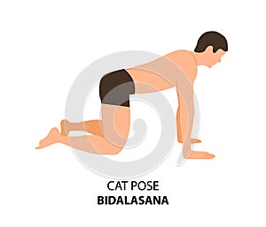 Man doing yoga Cat Pose or Bidalasana vector