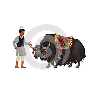Man with domestic yak