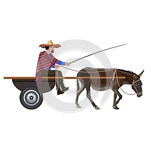 Man with in donkey cart