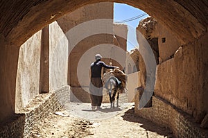 Man and donkey in Kharanagh Village, Iran