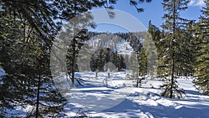 A man in a down jacket stands on a path trodden in the snow.