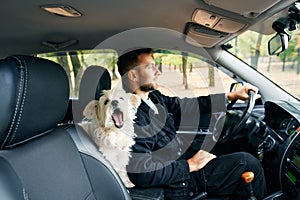 Man driving a car with an excited white dog sitting beside him, enjoying the ride.