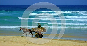 Man with horse and carriage on the beach while collecting wood in Dakar, Senegal photo