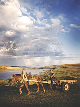 Man Driving Horse Cart Scenic View Nature Tranquil Concept