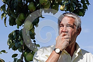 Man eating pear