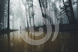 Man on edge of forest lake