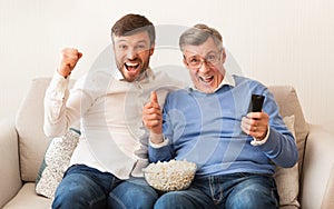Man And Elderly Father Watching Match On TV At Home