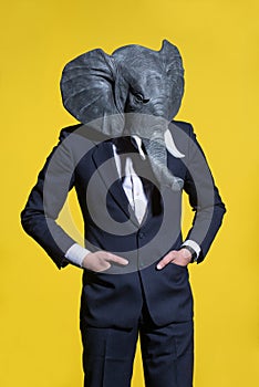 Man with an elephant mask on a yellow background