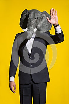 Man with an elephant mask on a yellow background