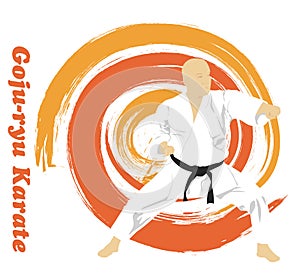 The man is engaged in karate on a bright backg