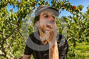 Man enjoying eating a nectarine in orchard