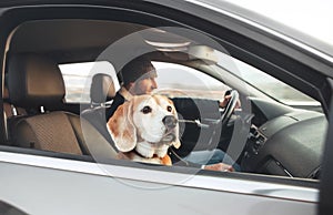 Man enjoying the modern car driving with his beagle dog sitting