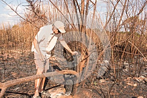 Remains of a brush fire photo