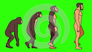 Man Evolution. Monkey, Neanderthal and Sapiens walking. G