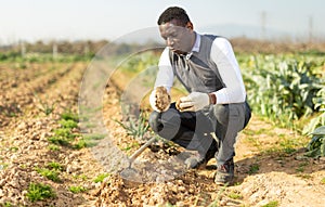 Man examining soil in kitchen garden