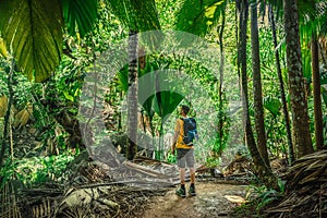 Man exploring a tropical rainforest