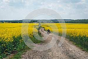 Man extreme sport riding touring enduro motorcycle on dirt. beautiful yellow field of flowers. World adventure rider. Tourist bike