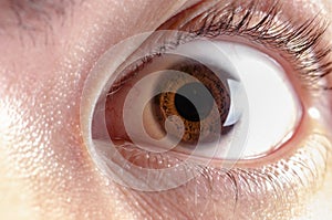 Man eye pupil iris cornea