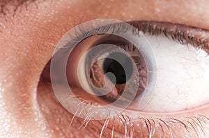 Man eye pupil iris cornea photo