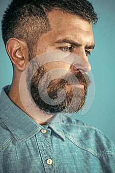 Man face handsome. beard at serious man in denim shirt on blue background