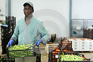 Man factory worker carrying crate full of pea pods