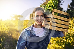 Man, farm and crate with produce in portrait with harvest, success and happiness for agriculture. Male farmer, box and