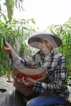 Man farmer