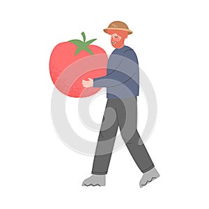 Man Farmer Carrying Huge Ripe Tomato, Male Agricultural Worker Gardener Character Working on Farm, Eco Farming Concept