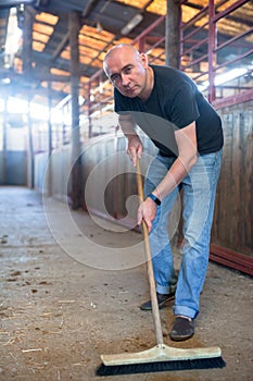 Man farmer cleaning floor with mop at horse stabling