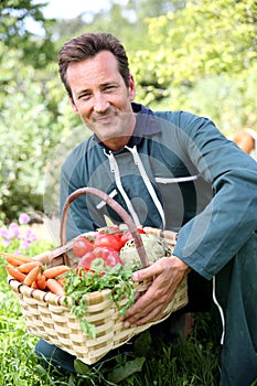 Man farmer collecting fresh vegetables