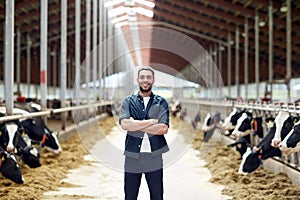 Man or farmer with cows in cowshed on dairy farm