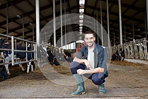 Man or farmer with cows in cowshed on dairy farm