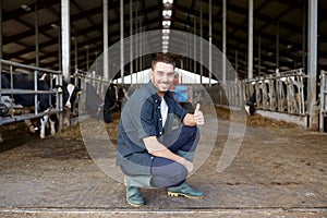 Man or farmer with cows in cowshed on dairy farm