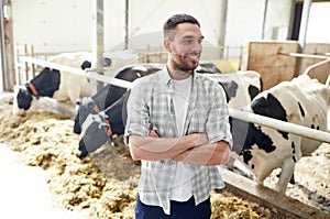 Man or farmer with cows in cowshed on dairy farm