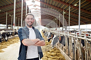 Man or farmer with cows in cowshed on dairy farm photo