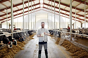 Man or farmer with cows milk on dairy farm