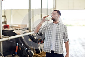 Man or farmer drinking cows milk on dairy farm