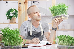 Man farmer growing microgreen baby sprouts beans pea and sunflower on box, business home