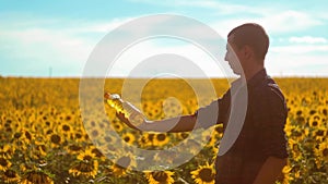 Man farmer hand hold bottle of sunflower oil n the field at sunset. Sunflower oil improves skin health and promote cell