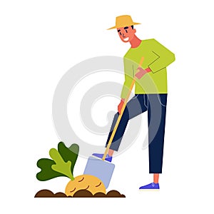 Man farmer harvesting. Guy with a shovel dig photo